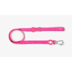 DASHI SOLID PINK LEASH WEPET