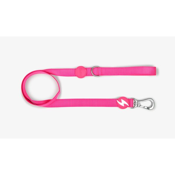 DASHI SOLID PINK LEASH WEPET