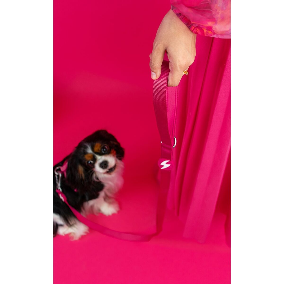 DASHI SOLID PINK LEASH WEPET