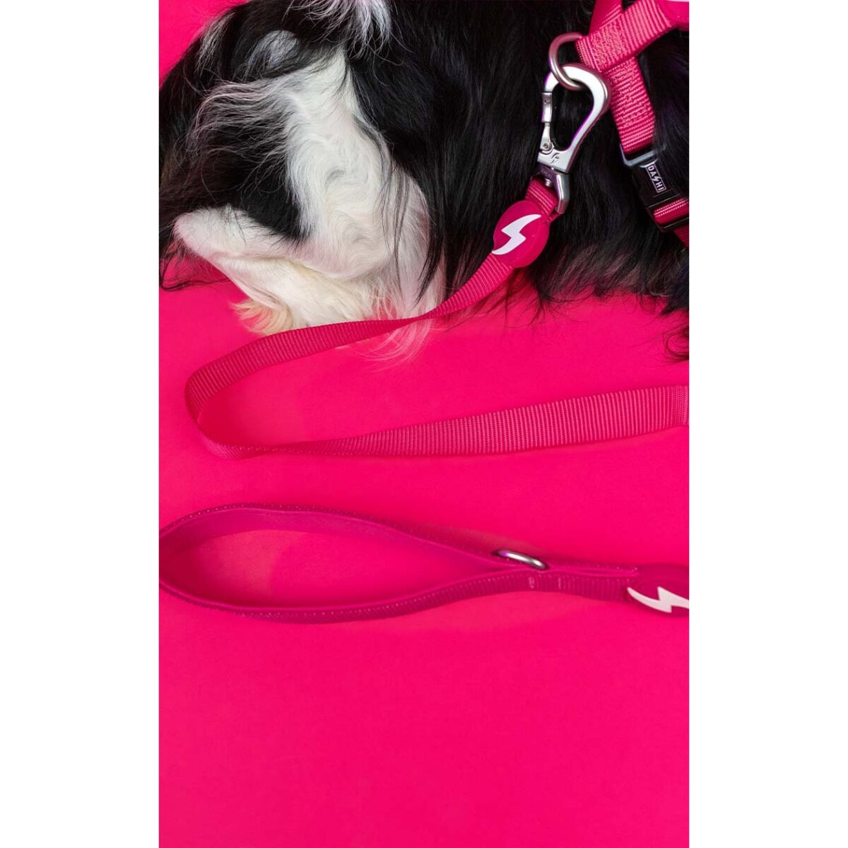 DASHI SOLID PINK LEASH WEPET