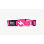 DASHI SOLID PINK COLLAR WEPET