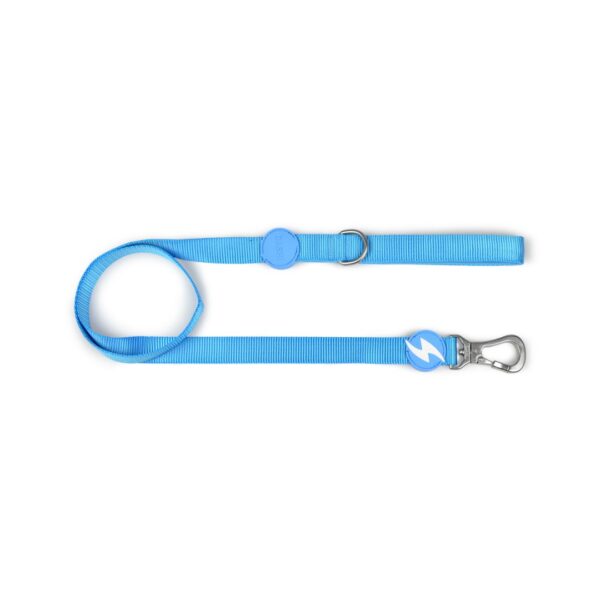 dashi leash sky blue wepet