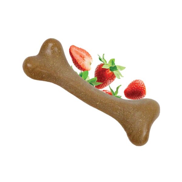 Dashi Fruity Bones Strawberry wepet