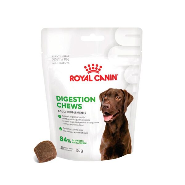 ROYAL CANIN DIGESTION ADULT DOG SUP 160G WEPET