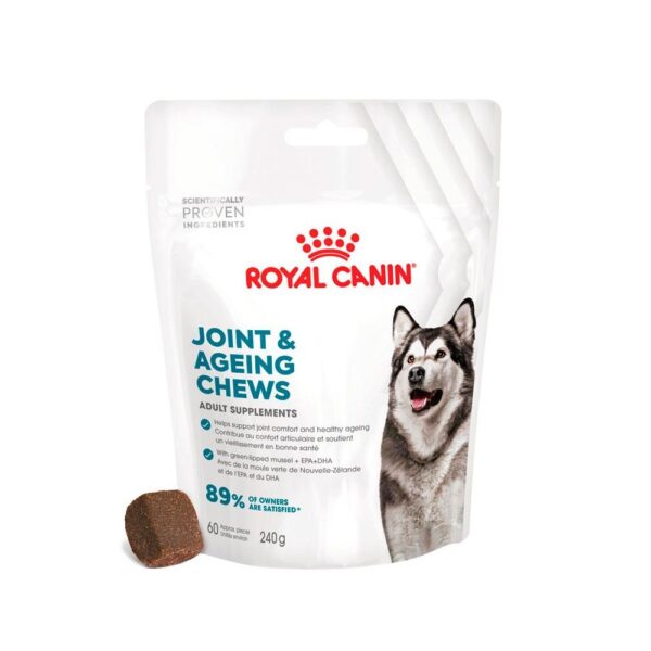 ROYAL CANIN JOINT & AGEING AD DOG SUP 240G WEPET