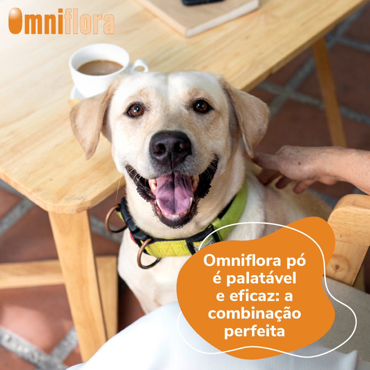 Omniflora 30x2gr WEPET