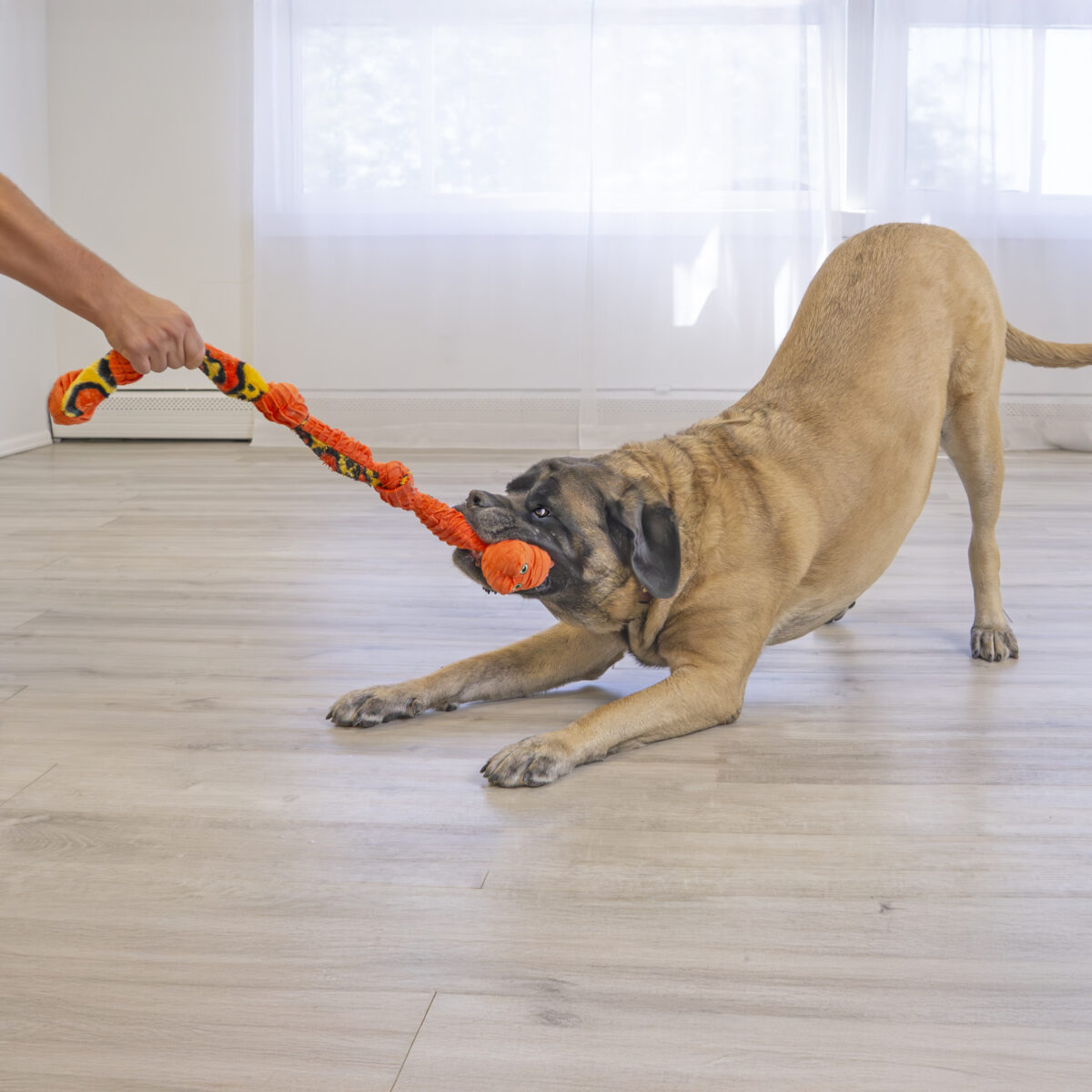 KONG Knots Snake Medium/Large - Image 2