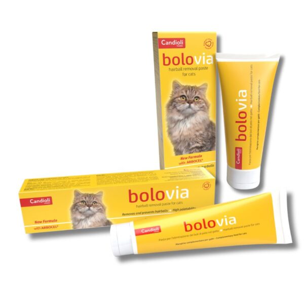 BOLO VIA Paste 50gr