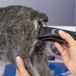 maquina Dynamika wepet