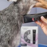 maquina Dynamika wepet