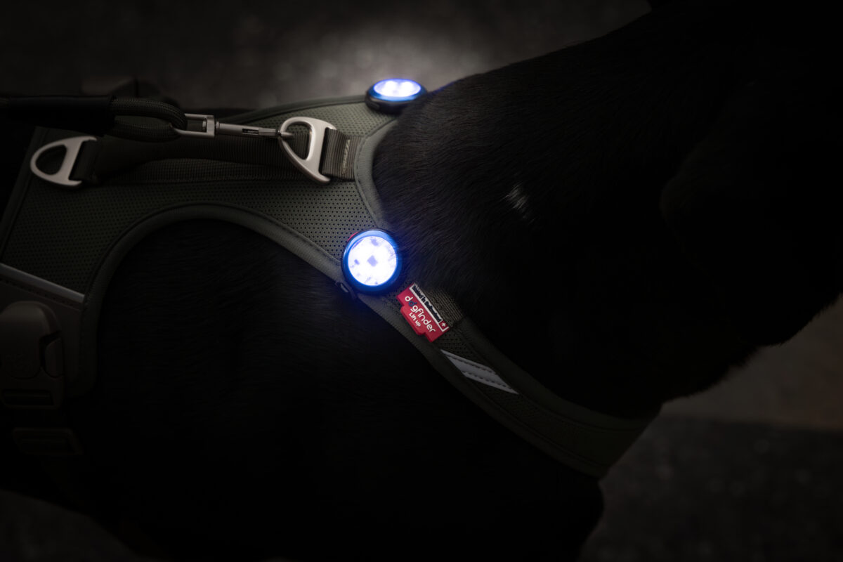 Luzes de segurança LED recarregáveis ​​Luumi wepet