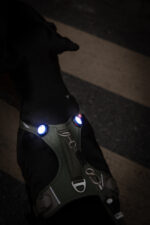 Luzes de segurança LED recarregáveis ​​Luumi wepet