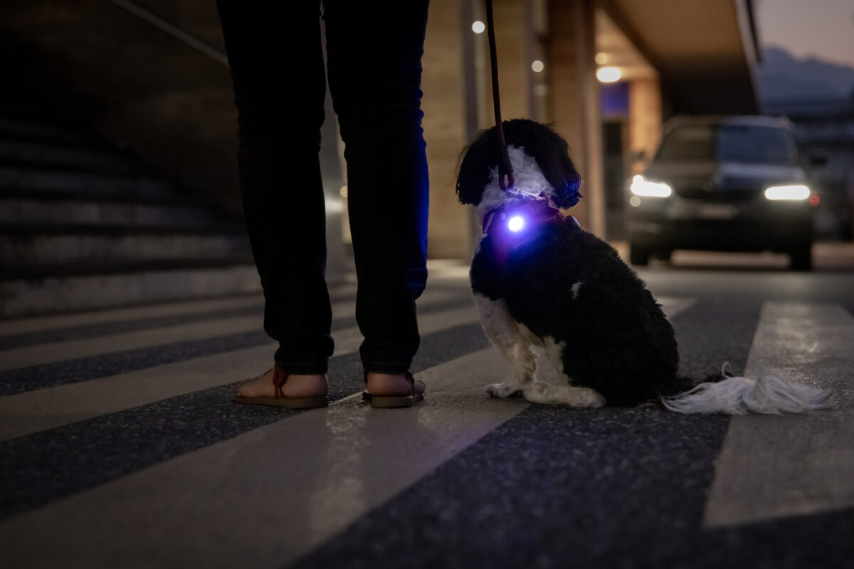 Luzes de segurança LED recarregáveis ​​Luumi wepet