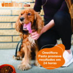 OMNIFLORA PASTA 30ML WEPET