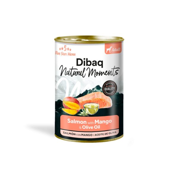 DIBAQ NATURAL DOG ADULT SALMON WITH MANGO 380G WEPET
