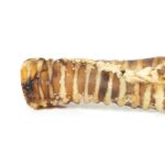 TRAQUEIAS BOVINAS WEPET