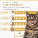 catit cuisine wepet