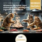 catit cuisine wepet
