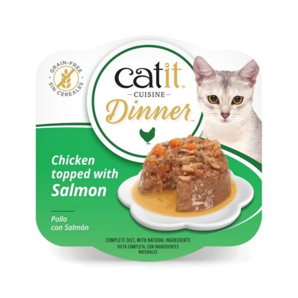 catit cuisine wepet