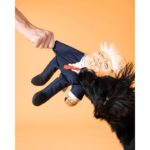DONALD TRUMP DOG TOY WEPET