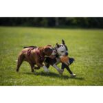 DONALD TRUMP DOG TOY WEPET