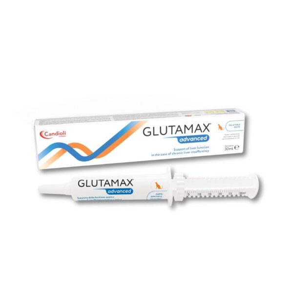 GLUTAMAX ADVANCED PASTE 30ML WEPET