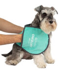 Artero Toalha/Bolsos Zumba 64X23 Cm WEPET